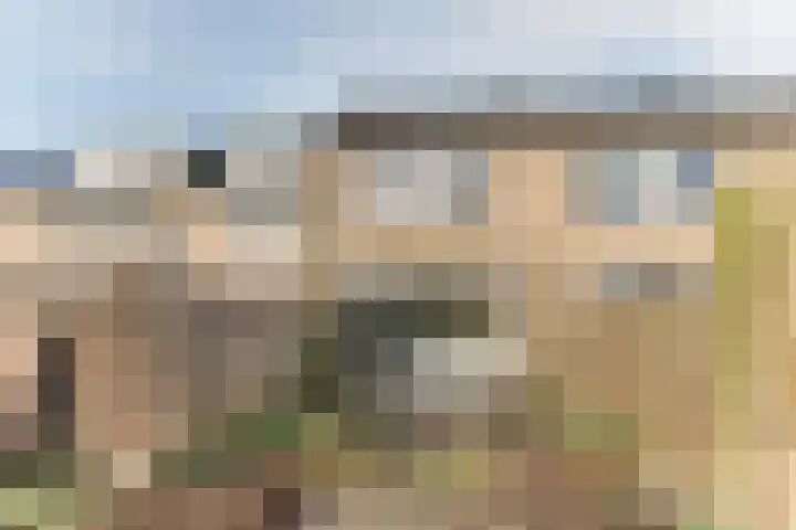 Bolksbeek 23 Zaandam thumbnail 38