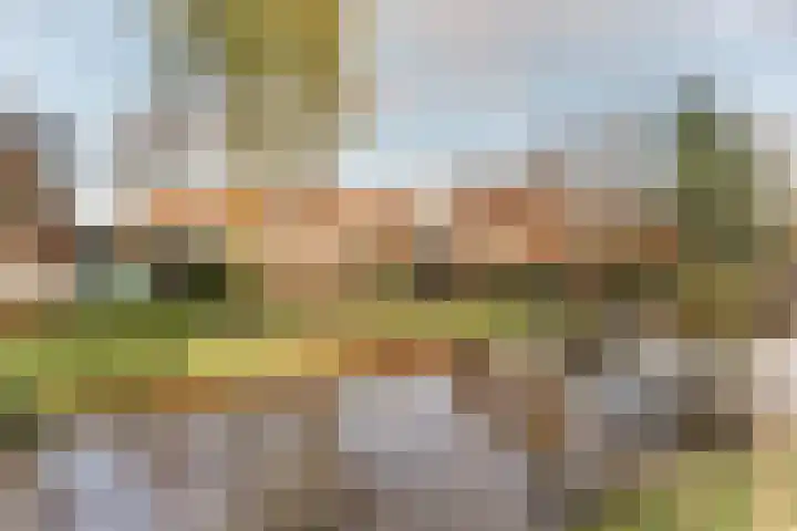 Bolksbeek 23 Zaandam thumbnail 42