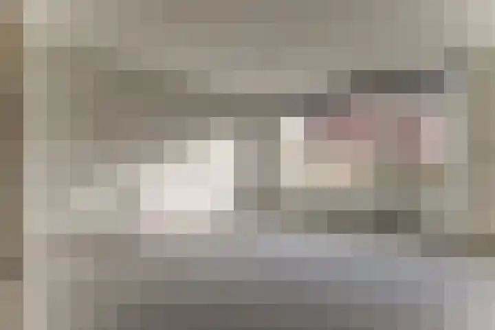 Bolksbeek 23 Zaandam thumbnail 8