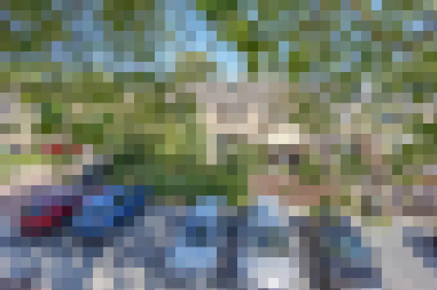 Bolksbeek 33 Zaandam thumbnail 30