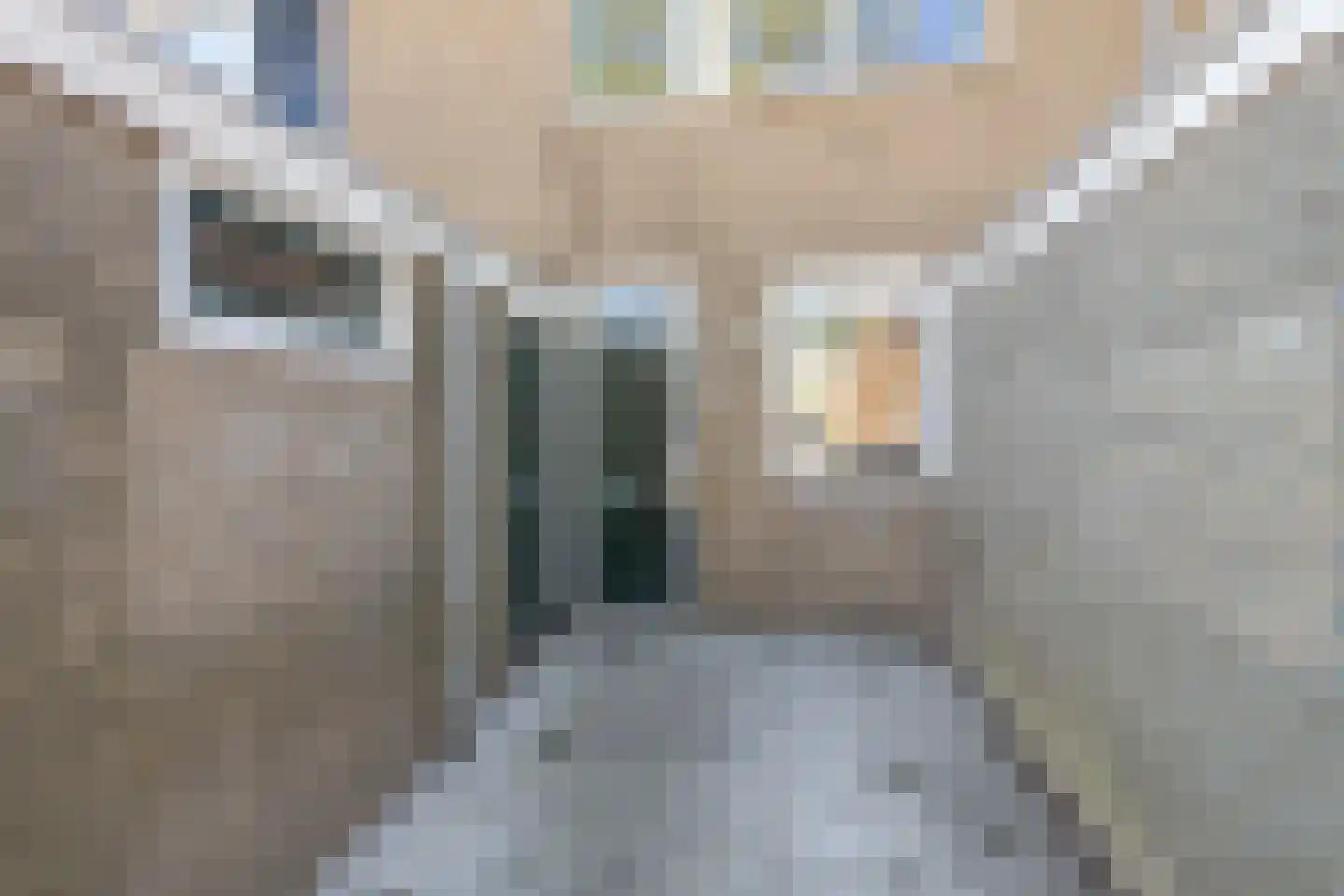 Bolksbeek 33 Zaandam thumbnail 5