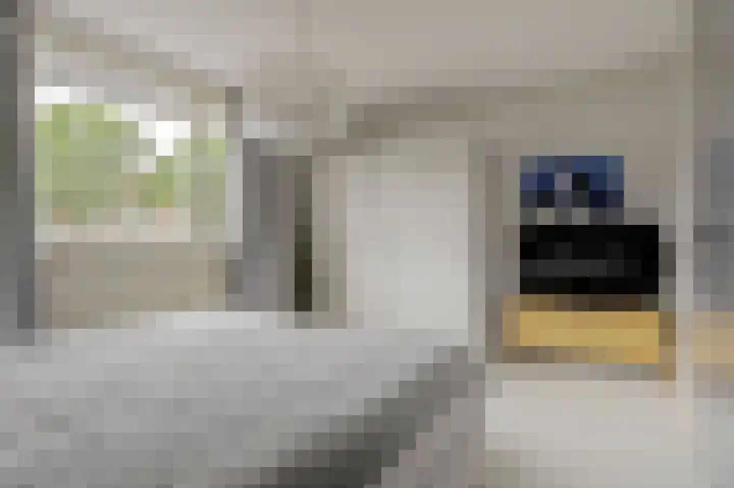 Bolksbeek 34 Zaandam thumbnail 32