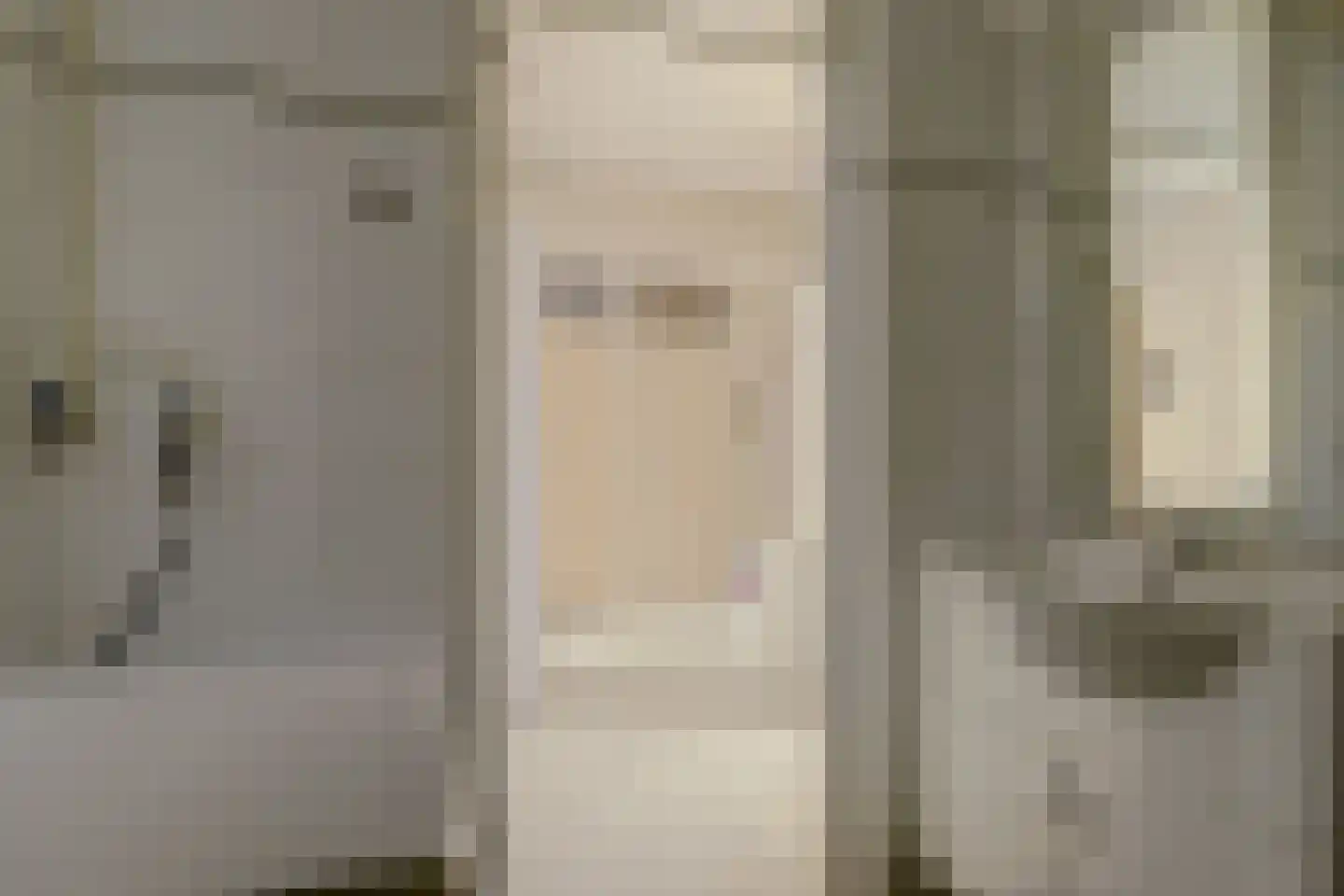 Bolksbeek 34 Zaandam thumbnail 37