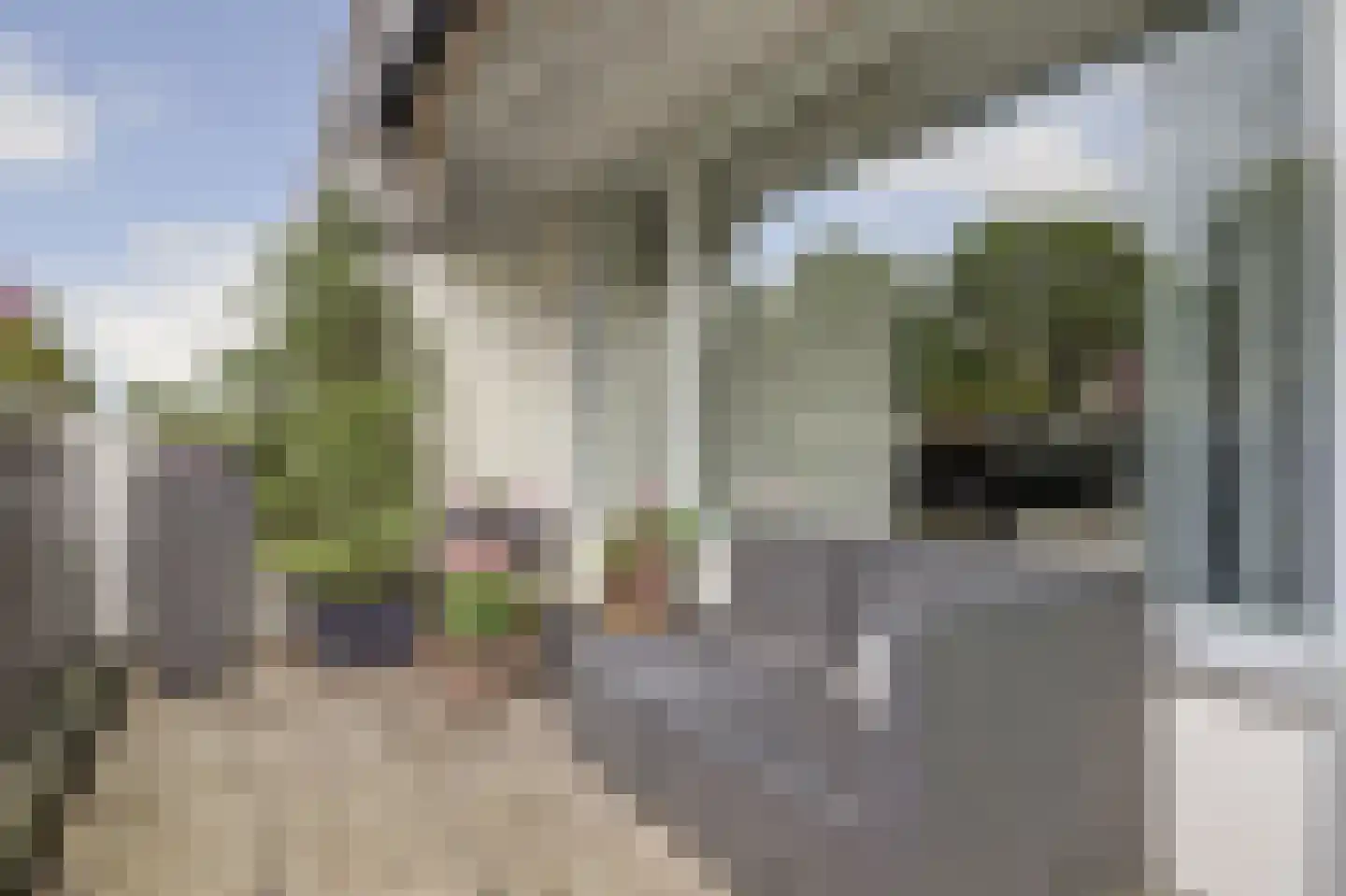 Bolksbeek 34 Zaandam thumbnail 40