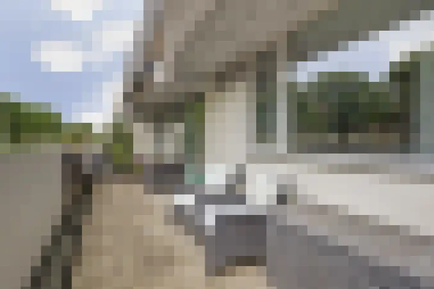 Bolksbeek 34 Zaandam thumbnail 42
