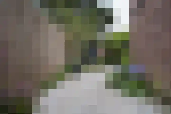 Bolksbeekstraat 14 Utrecht thumbnail 22