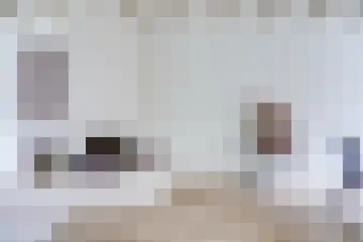 Bolksbeekstraat 14 Utrecht thumbnail 4