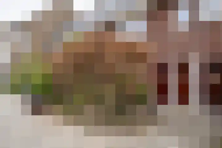 Bolksbeekstraat 14 Utrecht thumbnail 41