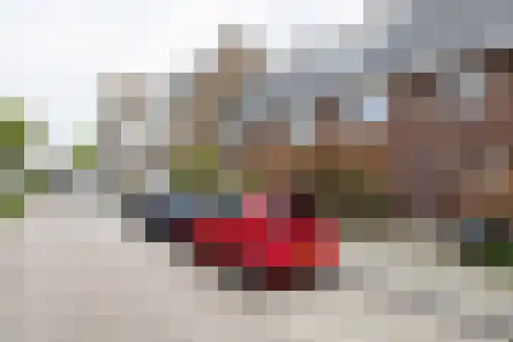 Bolksbeekstraat 14 Utrecht thumbnail 42
