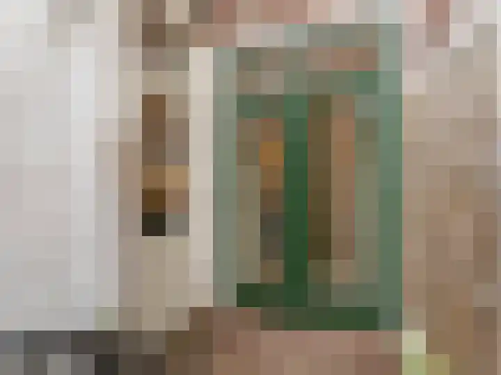 Bolksbeekstraat 2 Utrecht thumbnail 14