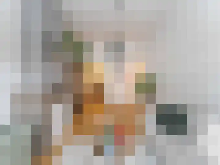 Bolksbeekstraat 2 Utrecht thumbnail 5