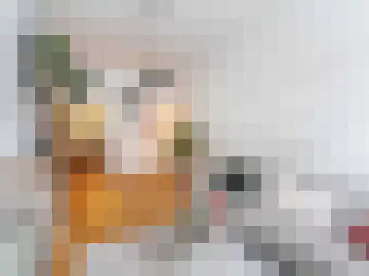 Bolksbeekstraat 2 Utrecht thumbnail 7