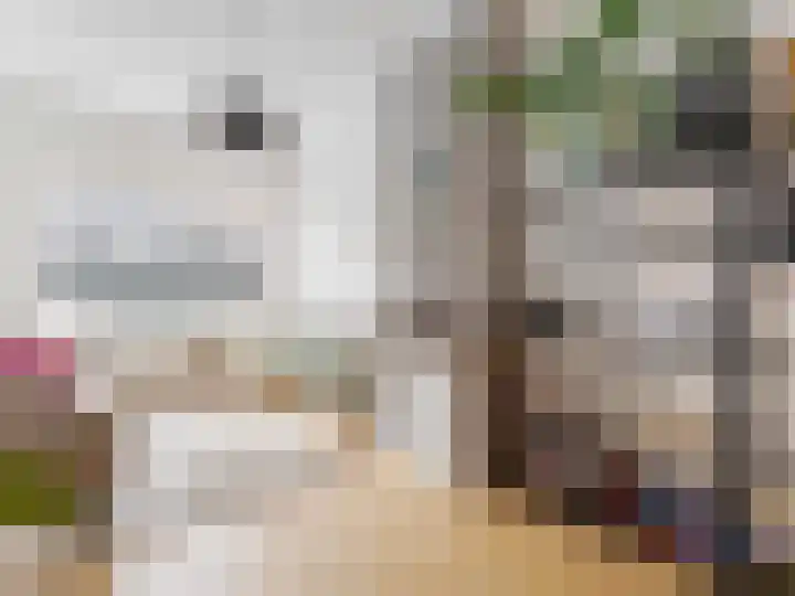 Bolksbeekstraat 2 Utrecht thumbnail 8