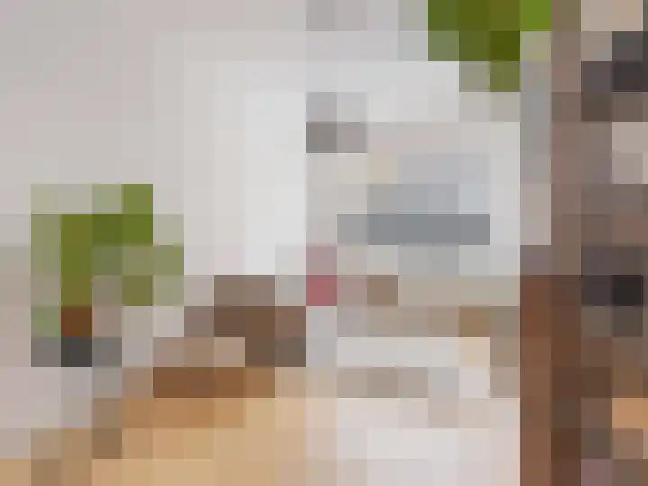 Bolksbeekstraat 2 Utrecht thumbnail 9