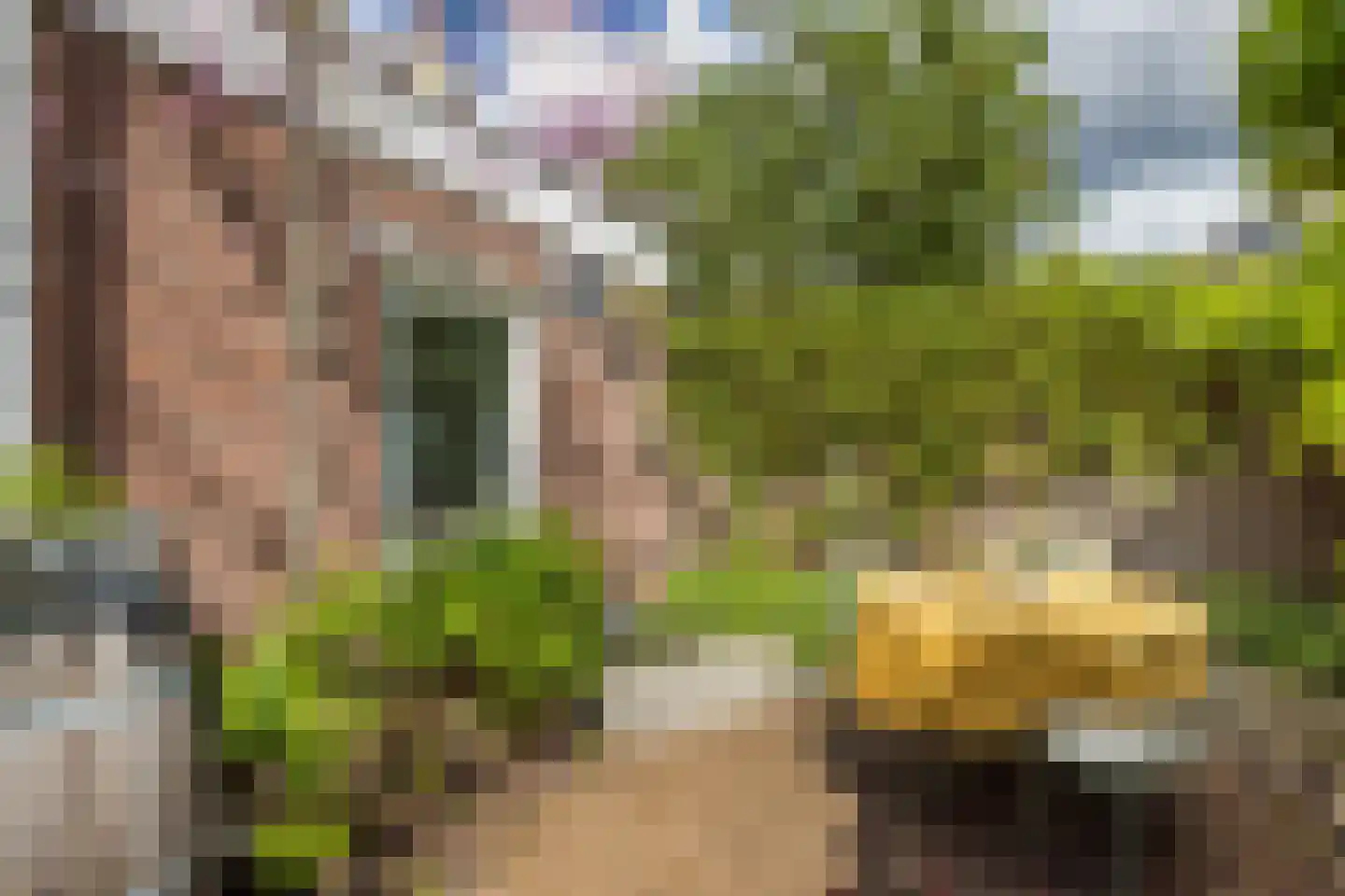 Bolksbeekstraat 22 A Utrecht thumbnail 36