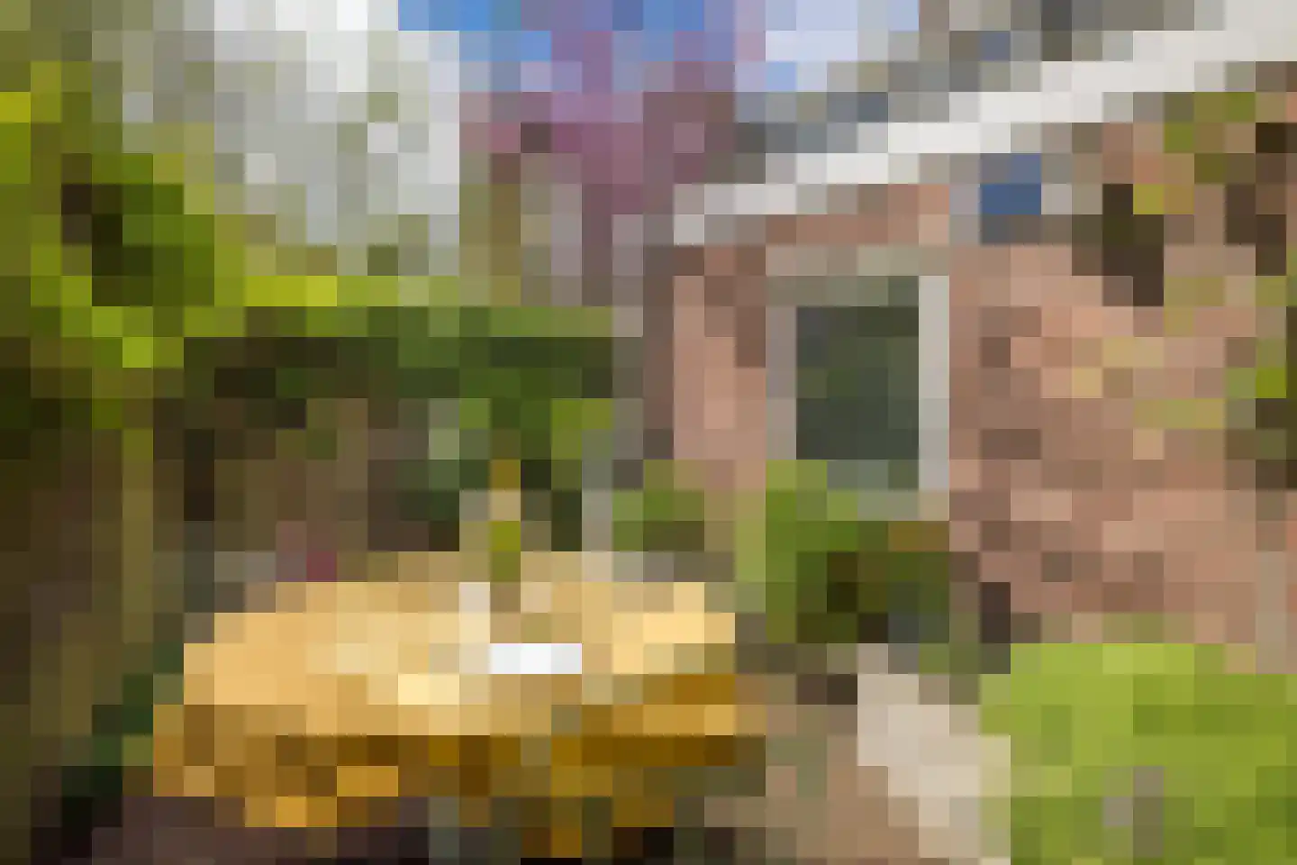 Bolksbeekstraat 22 A Utrecht thumbnail 38