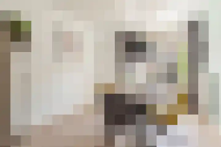 Bolksbeekstraat 42 Utrecht thumbnail 12