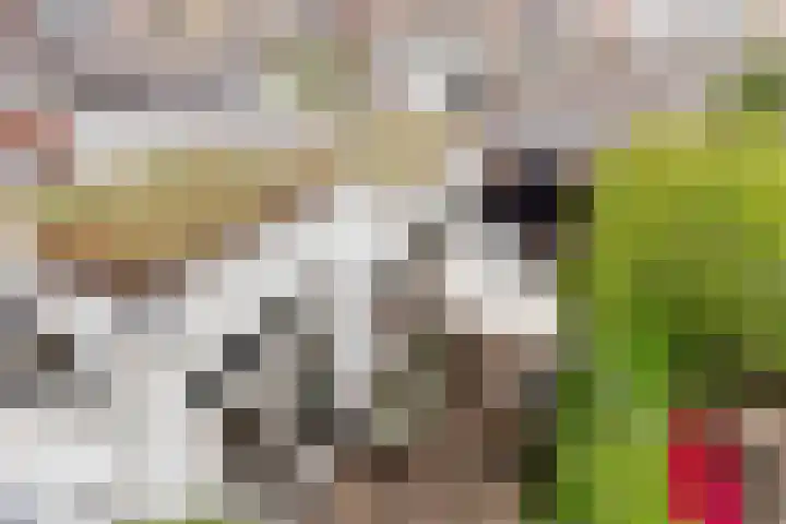 Bolksbeekstraat 42 Utrecht thumbnail 16