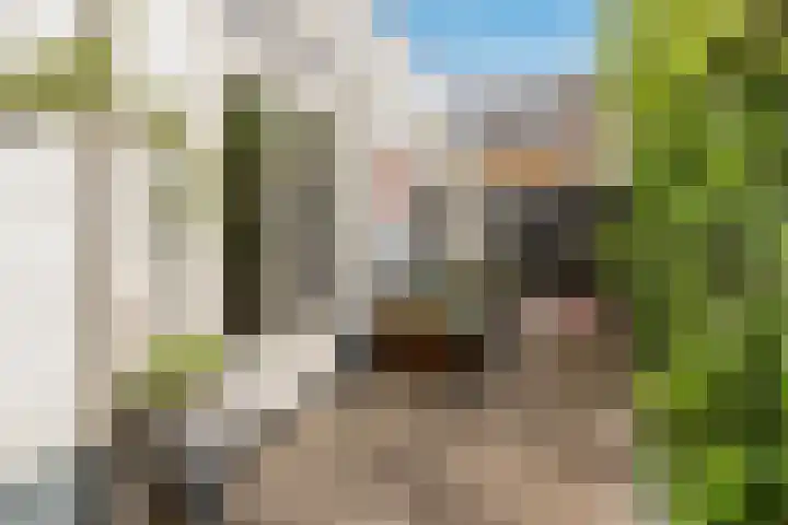 Bolksbeekstraat 42 Utrecht thumbnail 17