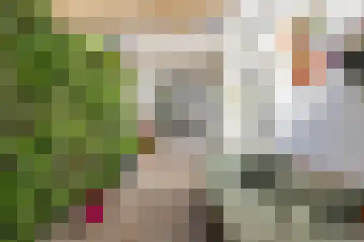Bolksbeekstraat 42 Utrecht thumbnail 21