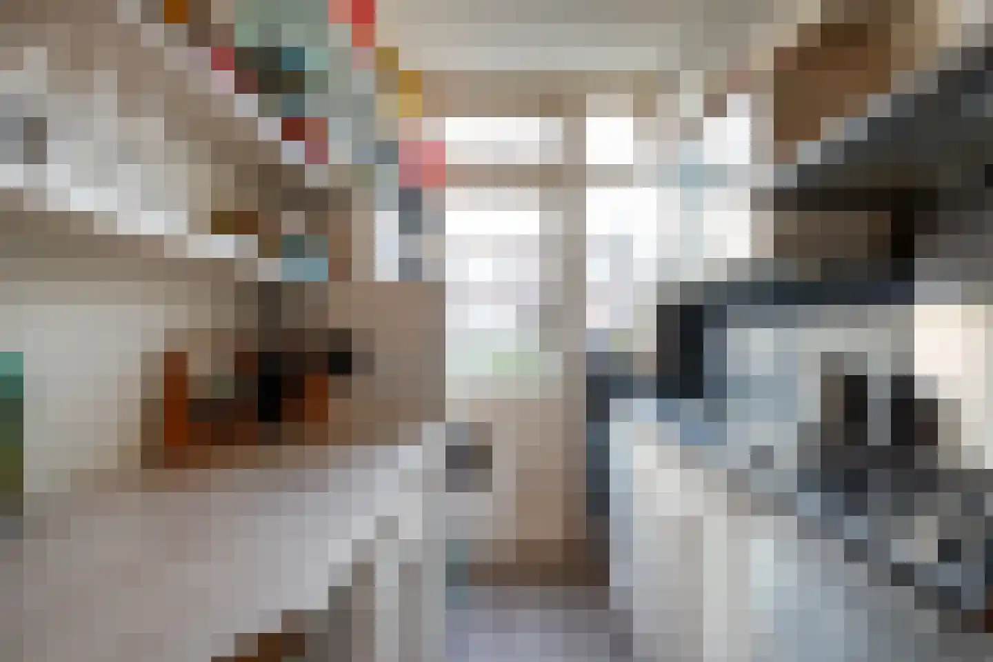 Bolksbeekstraat 44 BS Utrecht thumbnail 6