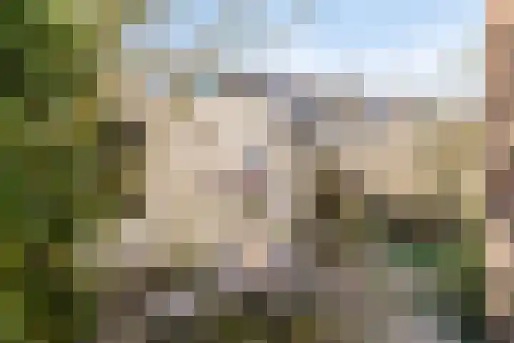 Bolksbeekstraat 44 Utrecht thumbnail 18