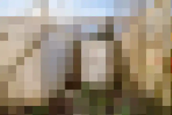 Bolksbeekstraat 44 Utrecht thumbnail 19