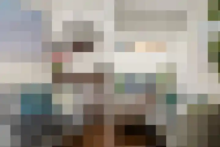 Bolksbeekstraat 52 Utrecht thumbnail 10