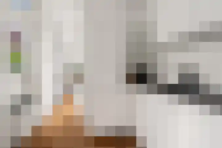 Bolksbeekstraat 52 Utrecht thumbnail 20