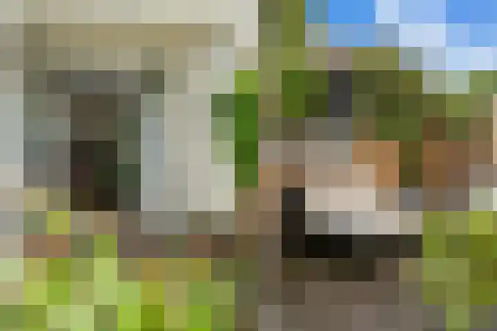 Bolksbeekstraat 52 Utrecht thumbnail 22