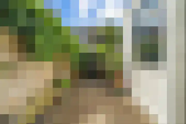 Bolksbeekstraat 52 Utrecht thumbnail 23