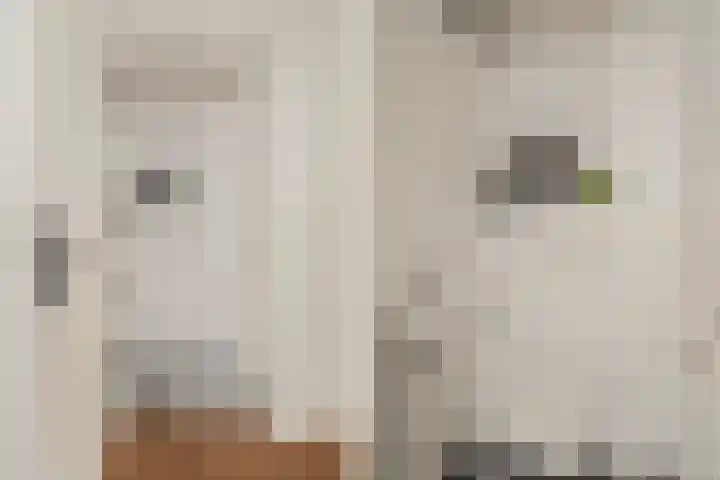 Bolksbeekstraat 52 Utrecht thumbnail 34