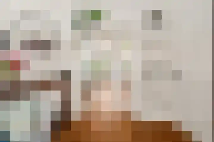 Bolksbeekstraat 52 Utrecht thumbnail 9