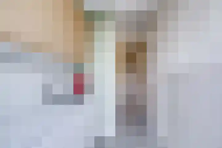 Bolksbeekstraat 67 BS Utrecht thumbnail 17
