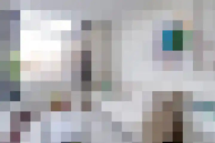 Bolksbeekstraat 67 BS Utrecht thumbnail 9