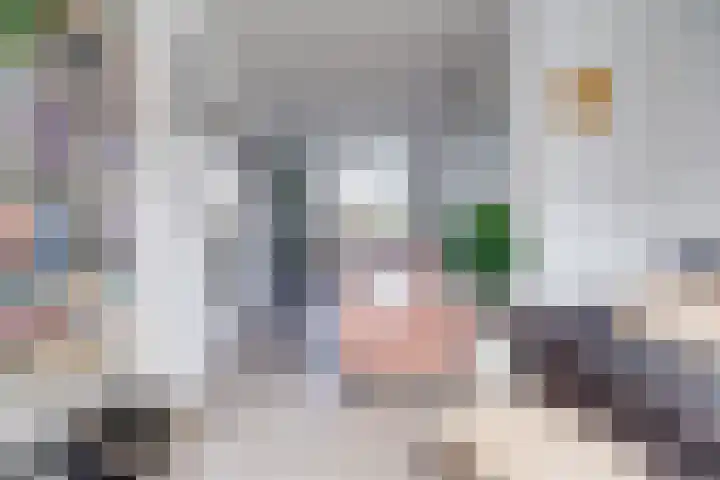Bolksbeekstraat 69 BS Utrecht thumbnail 12