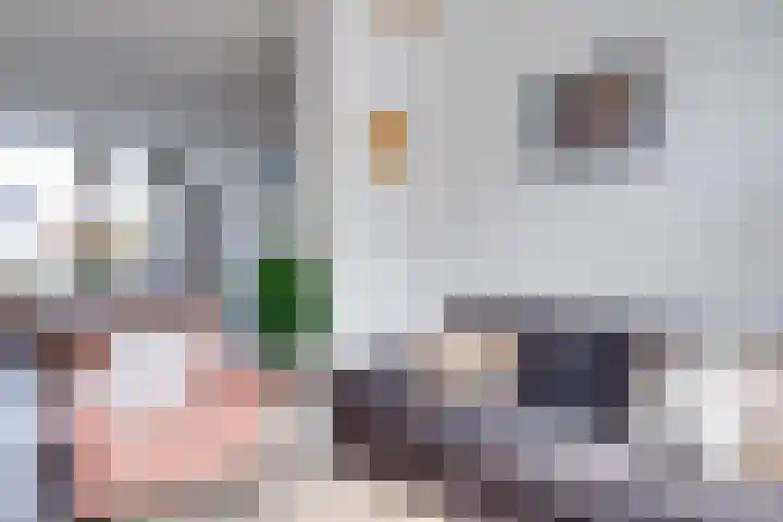 Bolksbeekstraat 69 BS Utrecht thumbnail 13