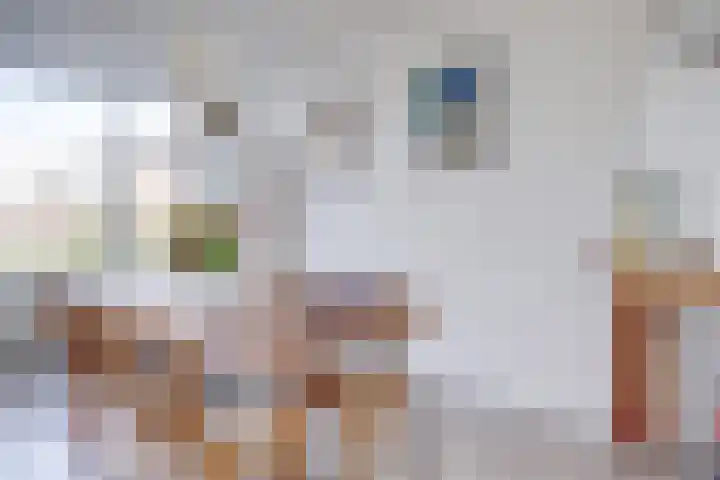 Bolksbeekstraat 69 BS Utrecht thumbnail 17