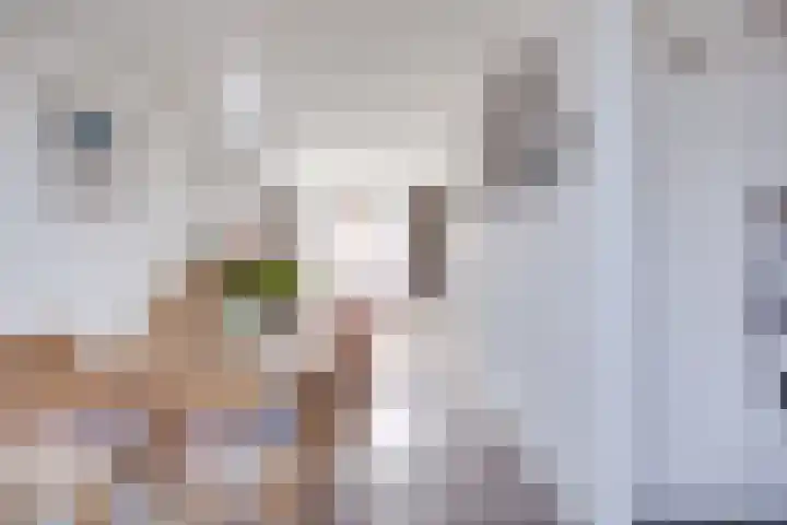 Bolksbeekstraat 69 BS Utrecht thumbnail 18