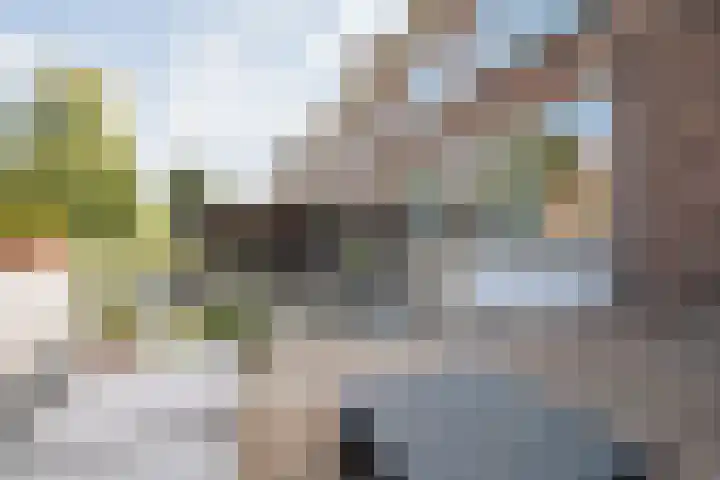 Bolksbeekstraat 69 BS Utrecht thumbnail 31