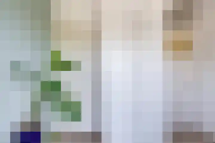 Bolksbeekstraat 69 BS Utrecht thumbnail 43