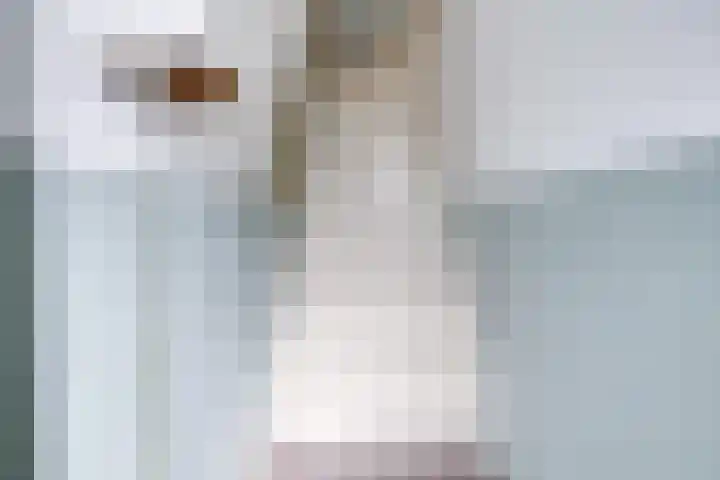 Bolksbeekstraat 69 BS Utrecht thumbnail 7
