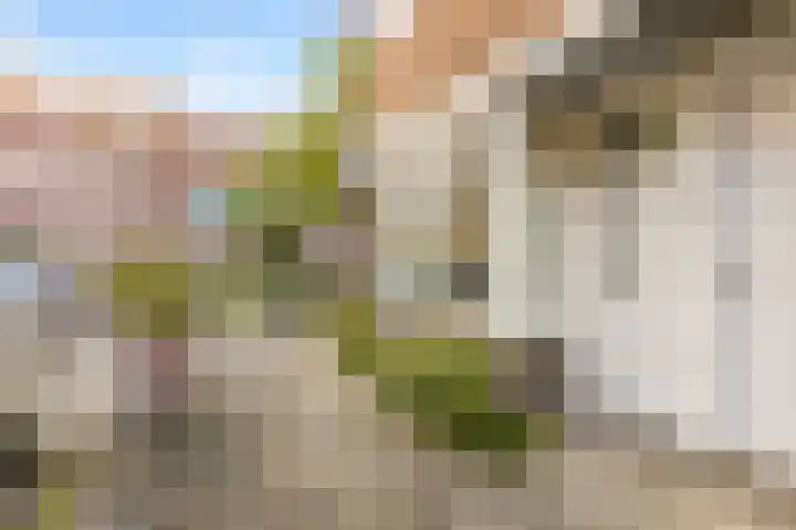 Bolksbeekstraat 73 Utrecht thumbnail 23