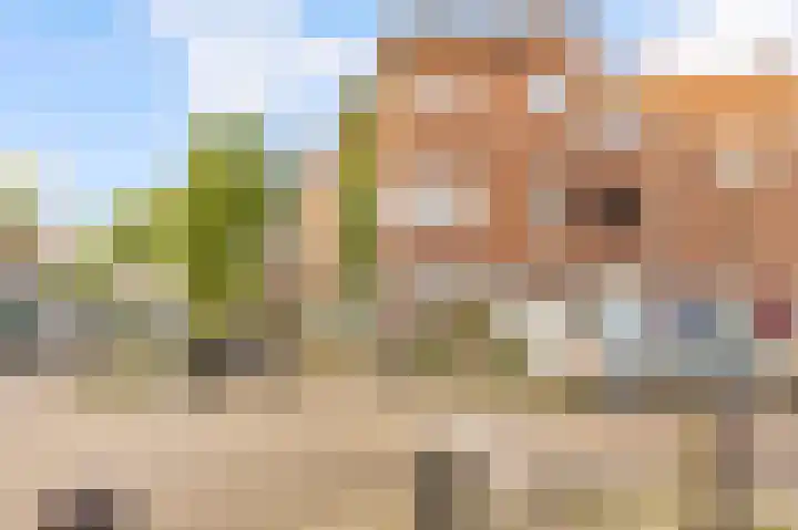 Bolksbeekstraat 73 Utrecht thumbnail 26
