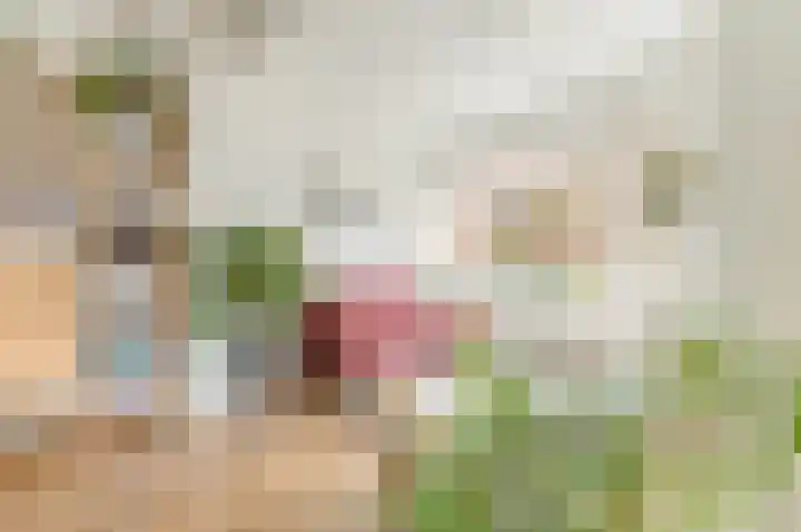 Bolksbeekstraat 73 Utrecht thumbnail 5