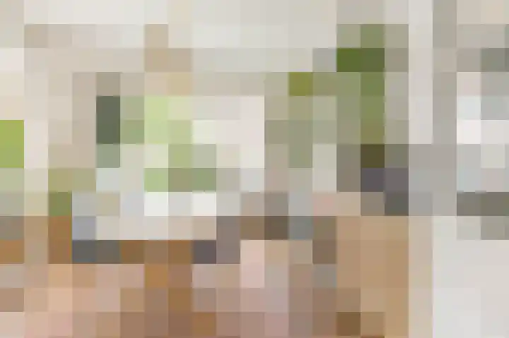 Bolksbeekstraat 73 Utrecht thumbnail 8
