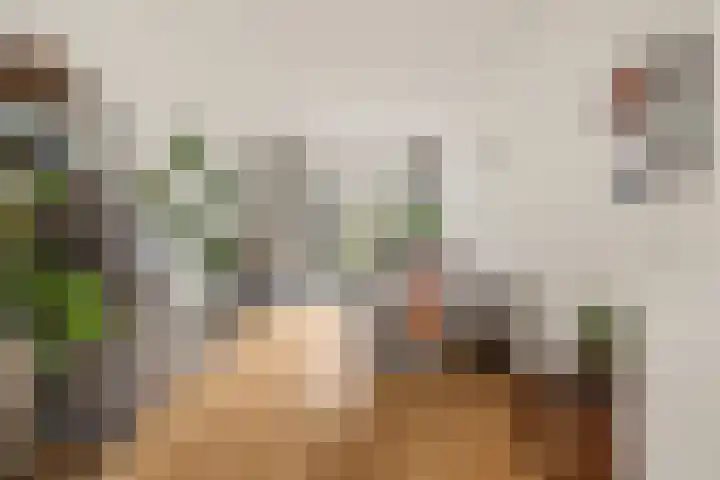 Bolksbeekstraat 8 Utrecht thumbnail 12