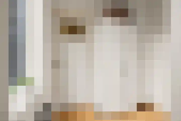 Bolksbeekstraat 8 Utrecht thumbnail 32