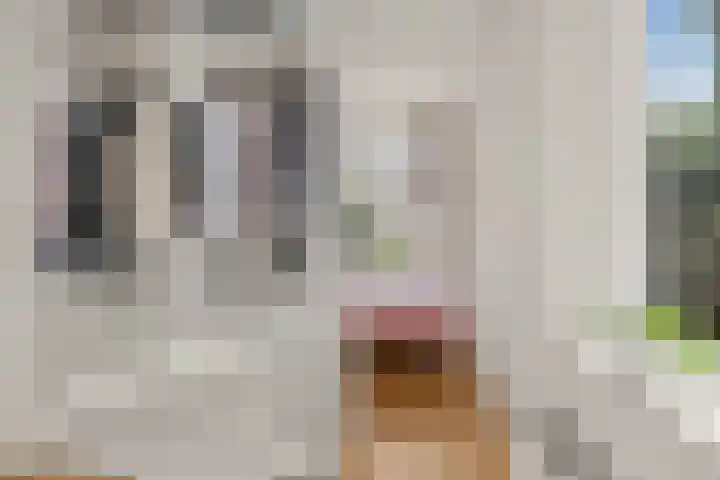 Bolksbeekstraat 8 Utrecht thumbnail 33