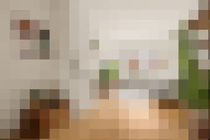 Bolksbeekstraat 8 Utrecht thumbnail 4